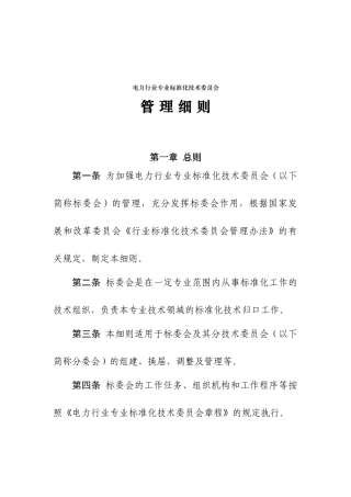 电力行业专业标准化管理细则范本