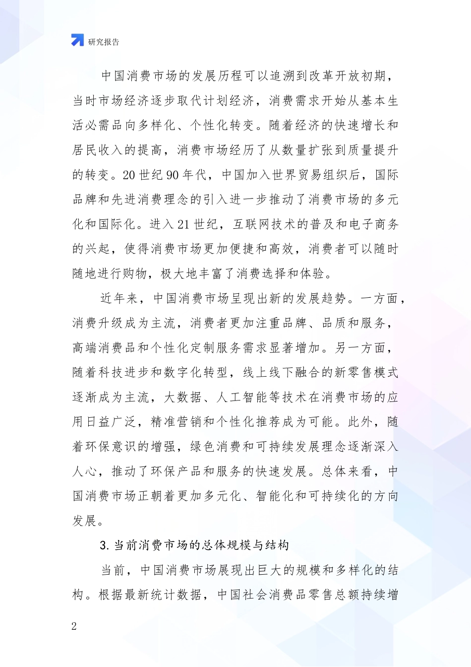 2024-2025年消费市场市场发展前景分析报告_第2页