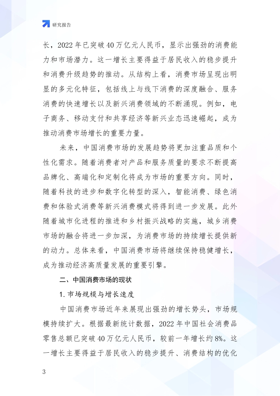 2024-2025年消费市场市场发展前景分析报告_第3页