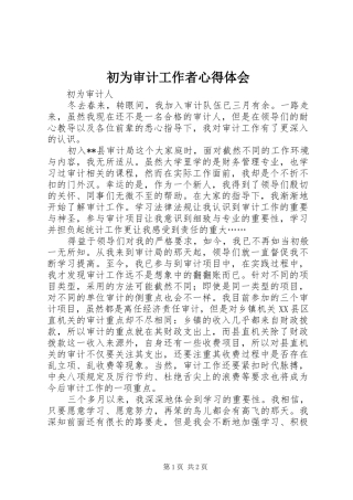 初为审计工作者心得体会