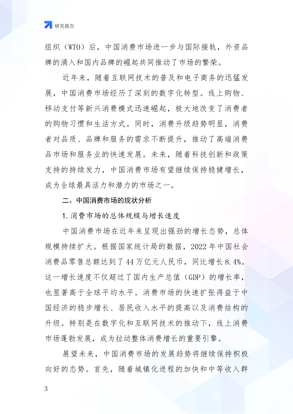 2024-2025年消费市场市场发展趋势与现状分析研究报告_第3页