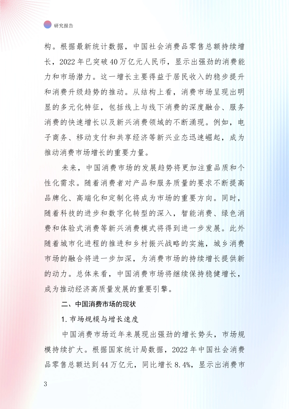 2024-2025年消费市场市场未来发展分析项目可行性研究报告_第3页