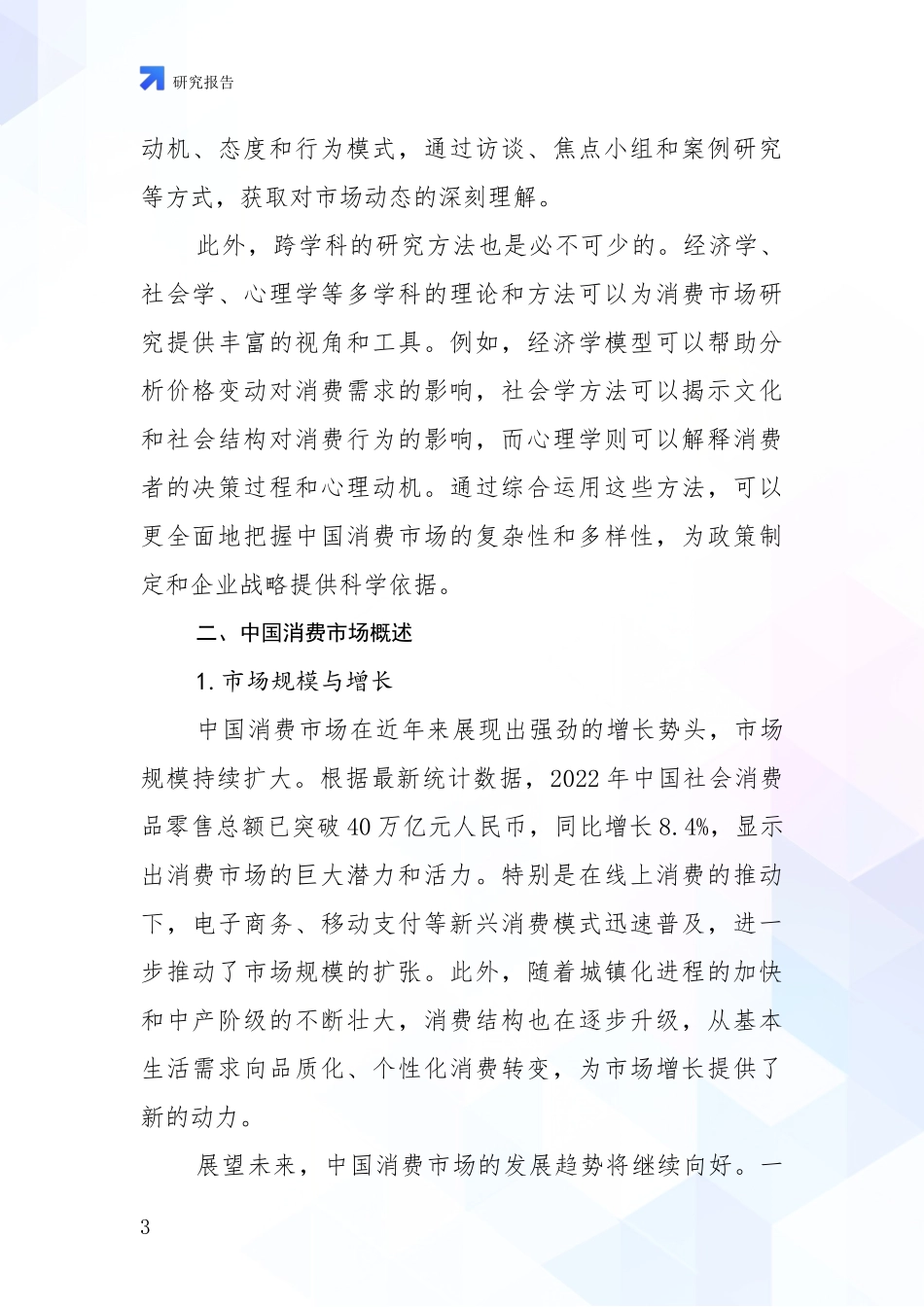 2024-2025年消费市场行业未来发展分析_第3页