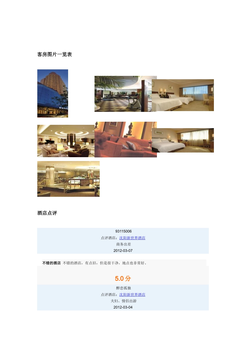 沈阳新世界酒店_第3页