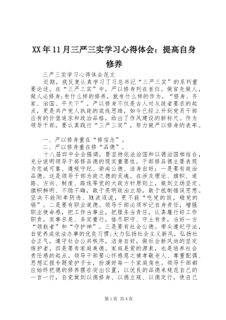 XX年11月三严三实学习心得体会：提高自身修养