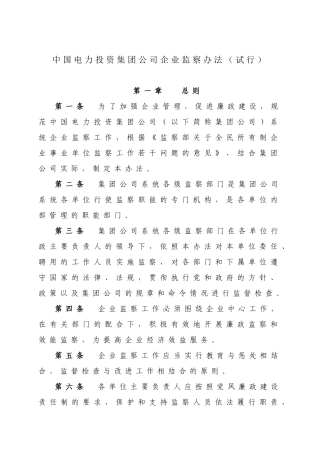 中国电力投资集团公司企业监察办法