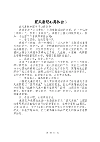 正风肃纪心得体会3