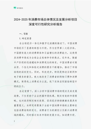 2024-2025年消费市场总体情况及发展分析项目深度可行性研究分析报告