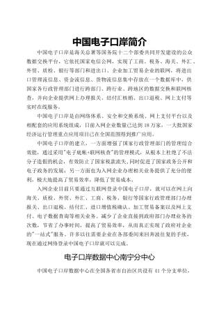 中国电子口岸说明及操作