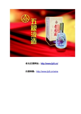 白酒市场营销实例