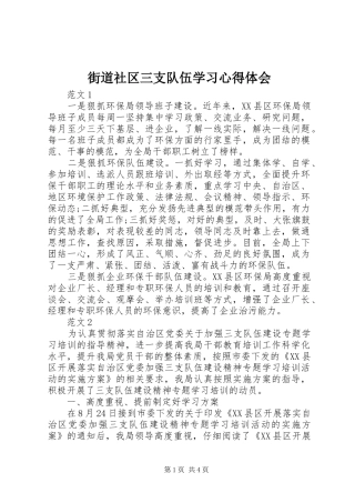 街道社区三支队伍学习心得体会