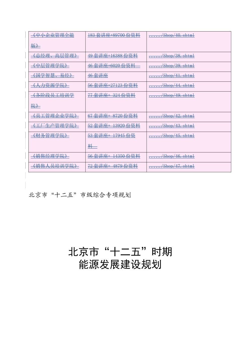 北京市能源发展建设总体规划_第2页