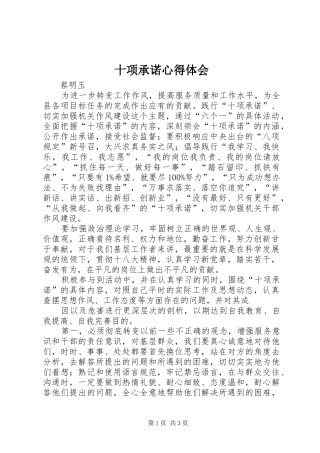 十项承诺心得体会