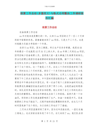 核算工作总结与格式合同整治工作调研报告汇编