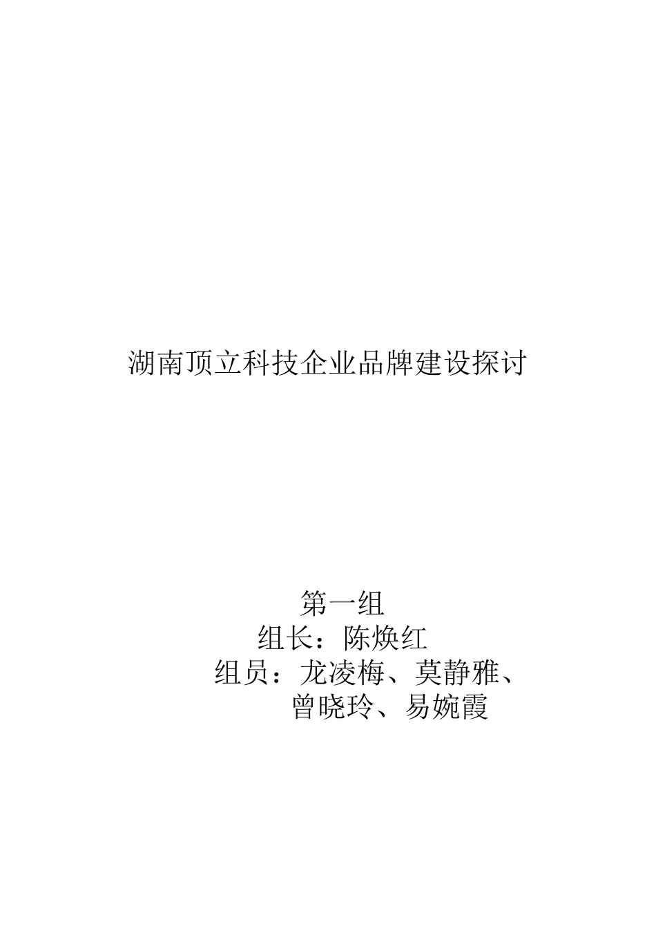 湖南顶立科技公司品牌建设探讨(品牌大作业)_第1页