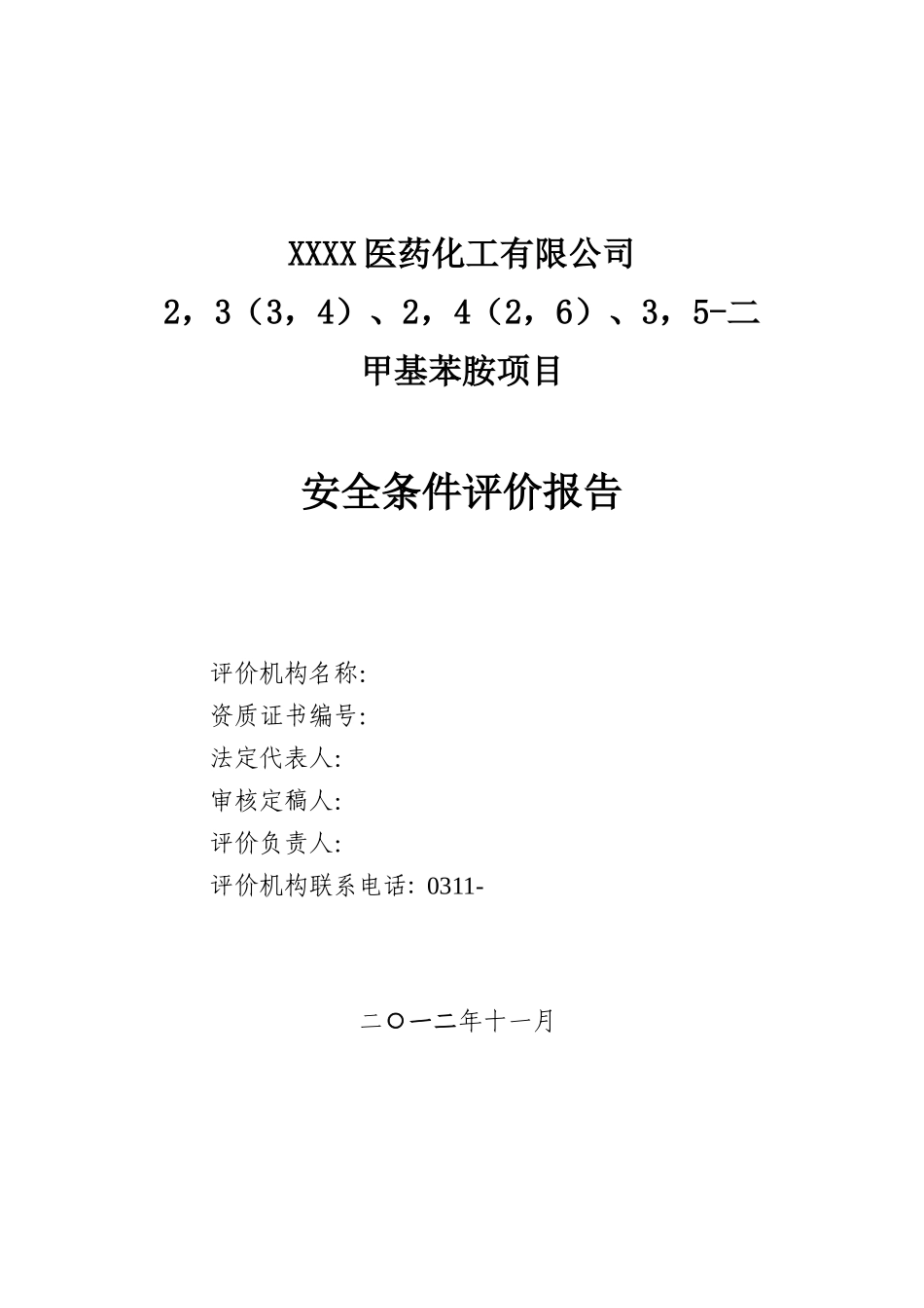 河北大鹏医药化工有限公司设立安全评价_第2页