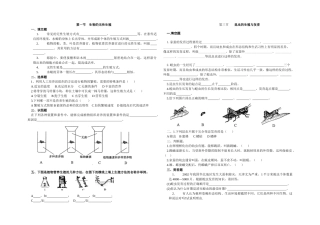 生物的无性生殖