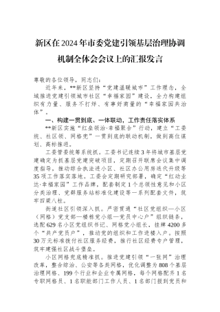 新区在2024年市委党建引领基层治理协调机制全体会会议上的汇报发言