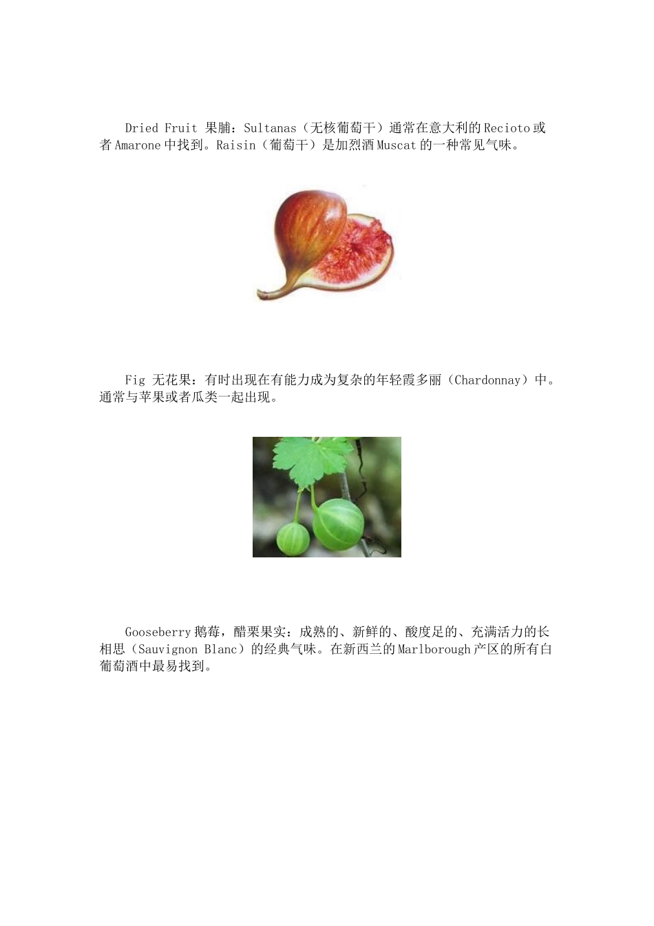 葡萄酒气味表之——典型果香味_第3页