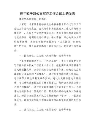 在年轻干部公文写作工作会议上的发言