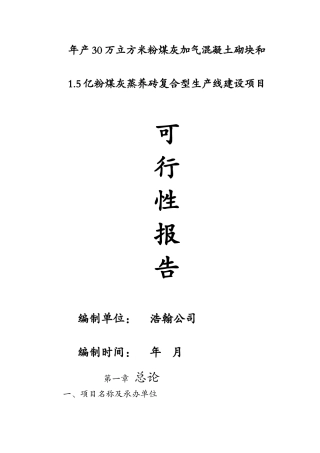 1.5亿粉煤灰蒸养砖生产线建设可行性报告