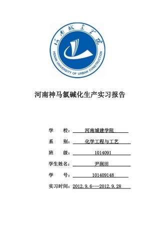 河南神马集团氯碱化工实习报告