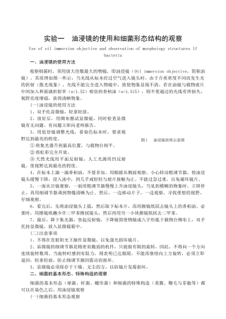 油浸镜的使用和细菌形态结构的观察
