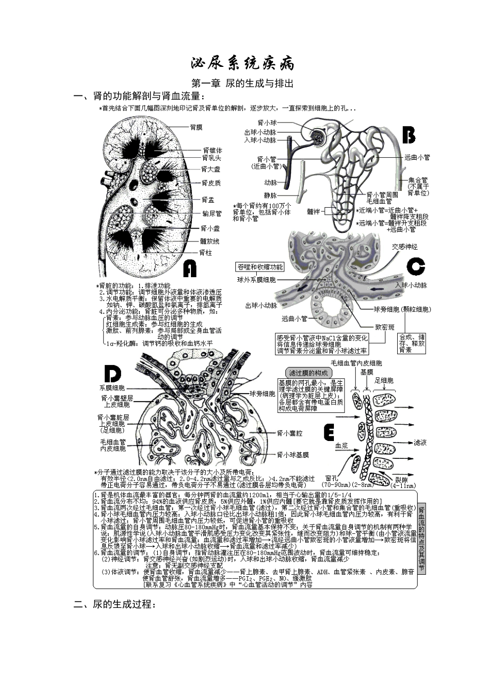 XXXX年西医综合·泌尿系统疾病(生理+病理+内科+外科)_第1页
