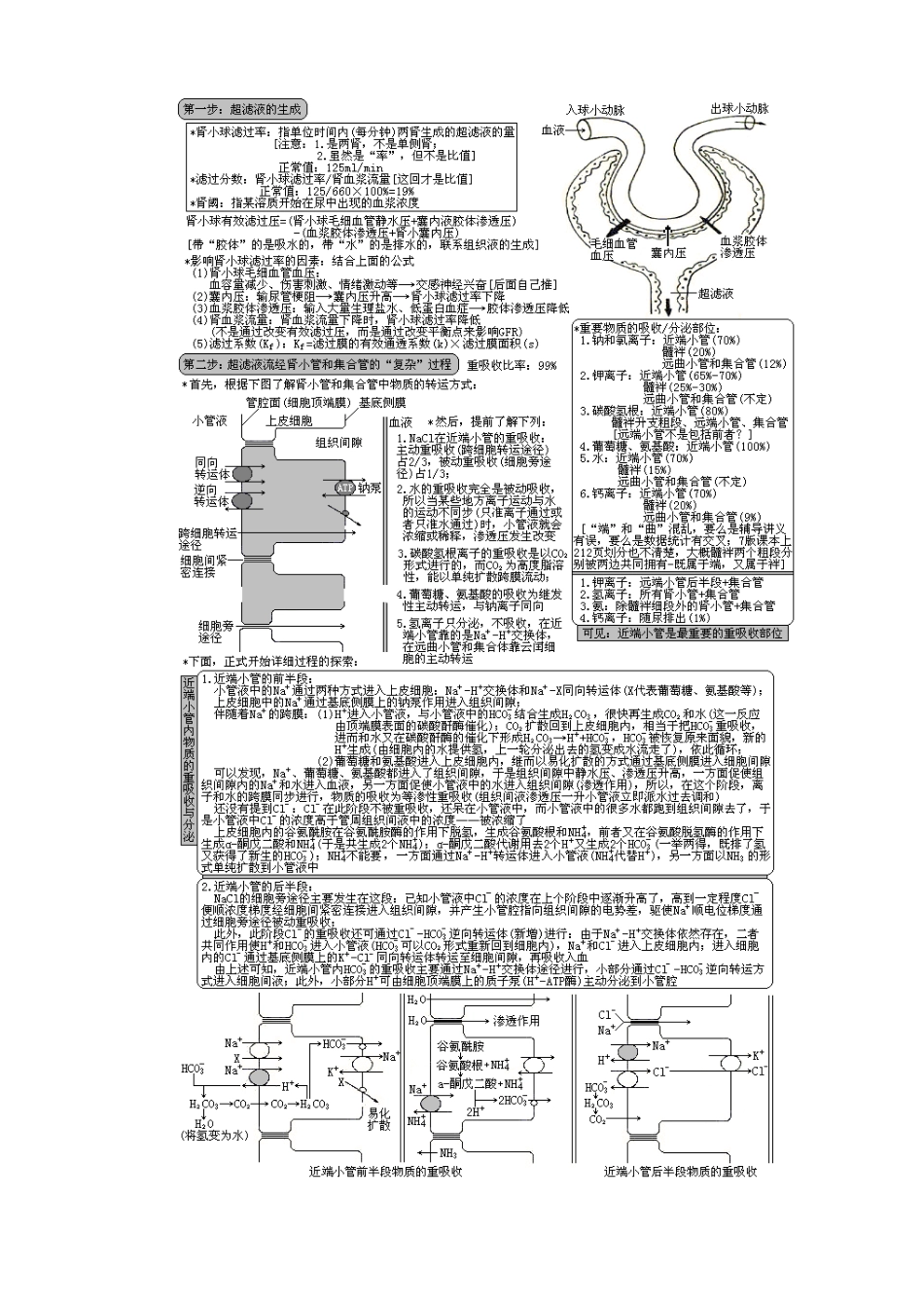 XXXX年西医综合·泌尿系统疾病(生理+病理+内科+外科)_第2页