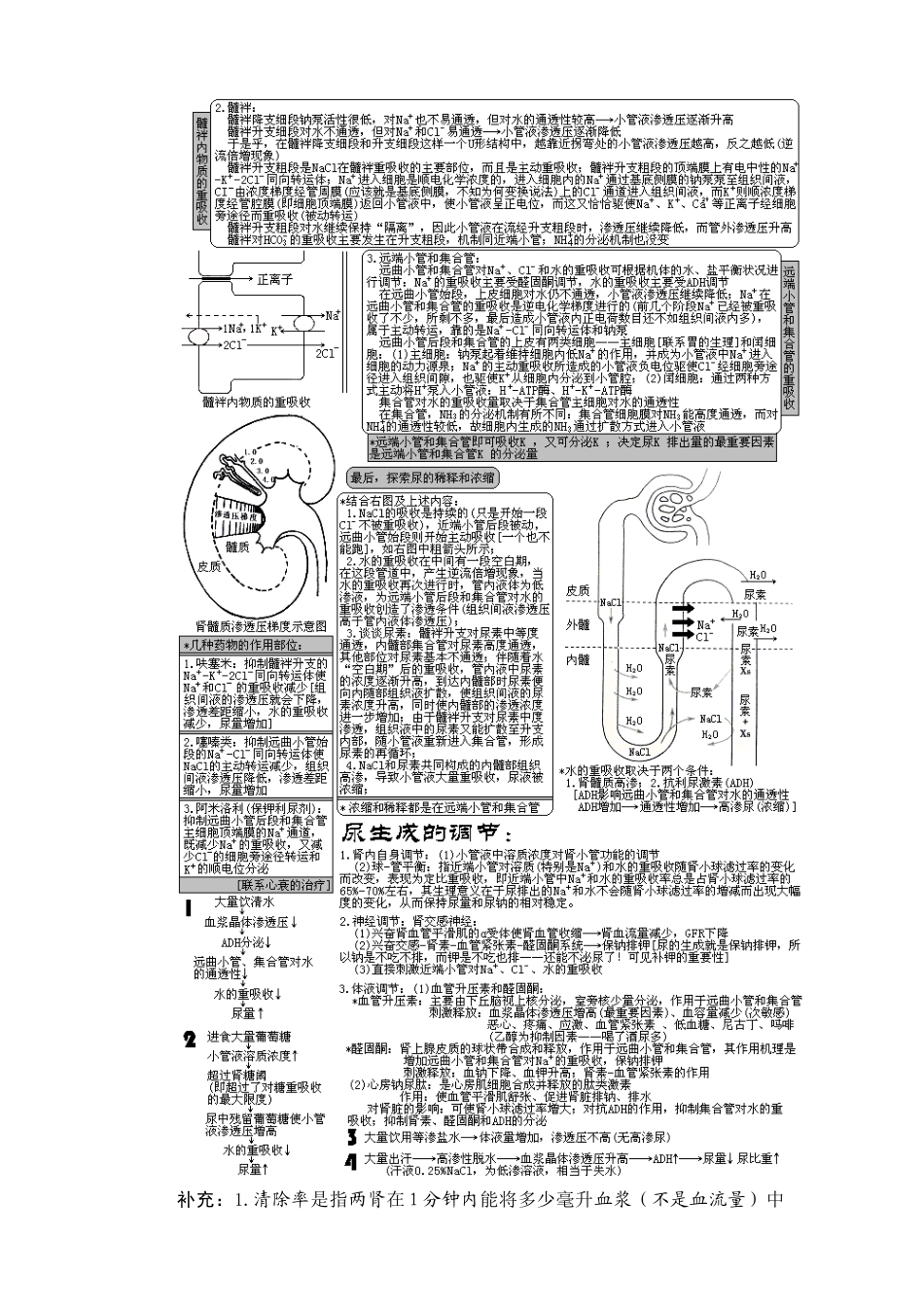 XXXX年西医综合·泌尿系统疾病(生理+病理+内科+外科)_第3页