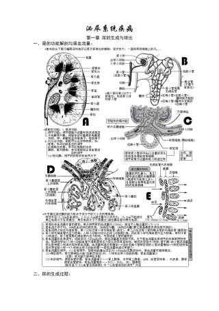 XXXX年西医综合·泌尿系统疾病(生理+病理+内科+外科)