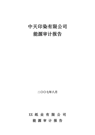 造纸业能源审计报告