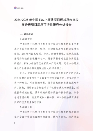 2024-2025年中国EVA小杯垫项目现状及未来发展分析项目深度可行性研究分析报告
