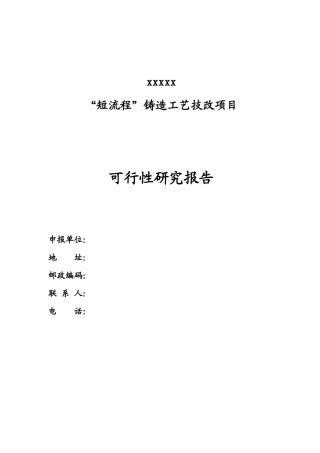 XXX矿业有限公司可研报告