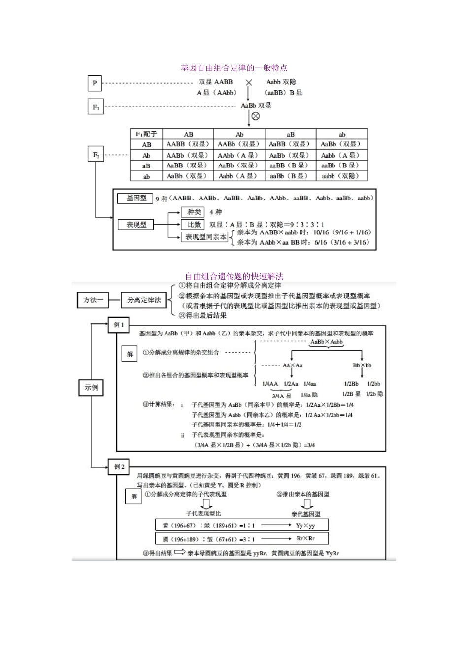 生物必修2 遗传与进化知识总结_第2页