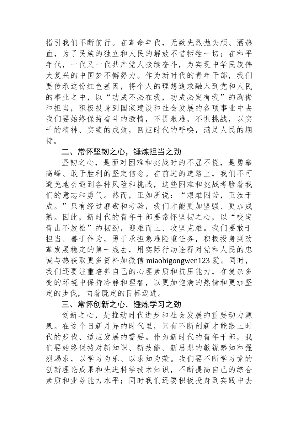 在青年干部座谈会上的交流发言：以“三心”铸魂，以“三劲”砺行，共绘青春奋斗蓝图_第2页