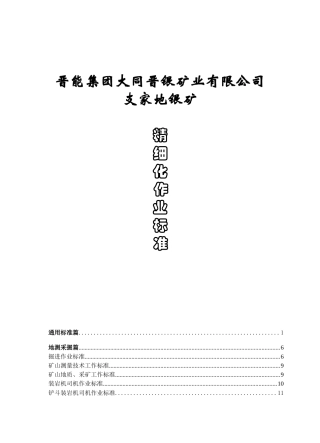 某公司银矿生产精细化作业标准细则