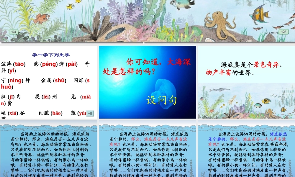 《海底世界》课件 (3)