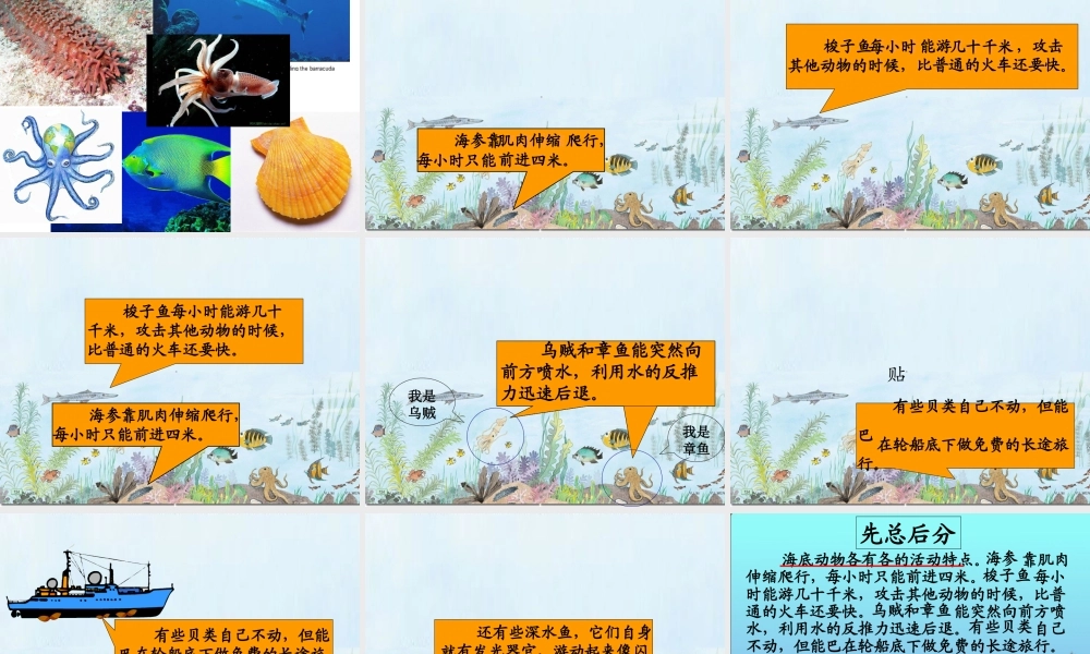 《海底世界》课件 (3)