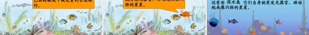 《海底世界》课件 (3)