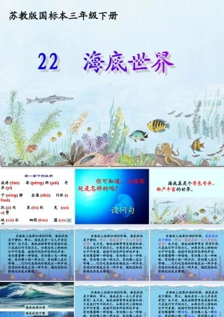 《海底世界》课件 (3)