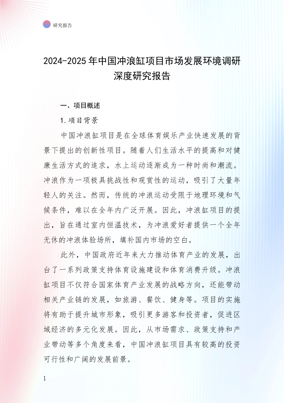 2024-2025年中国冲浪缸项目市场发展环境调研深度研究报告_第1页