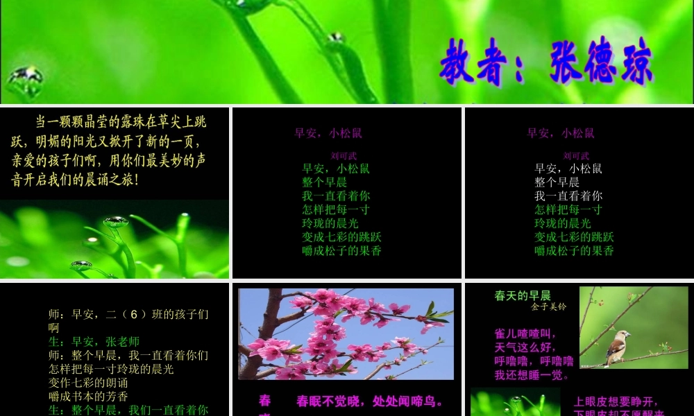 晨诵课《春天的早晨》