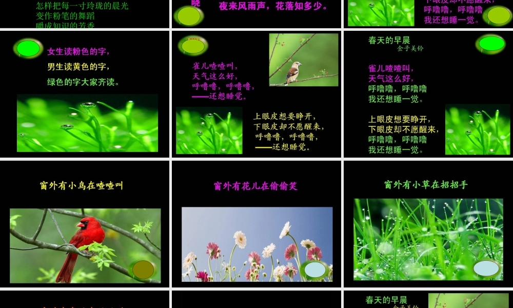 晨诵课《春天的早晨》