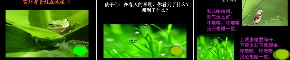 晨诵课《春天的早晨》