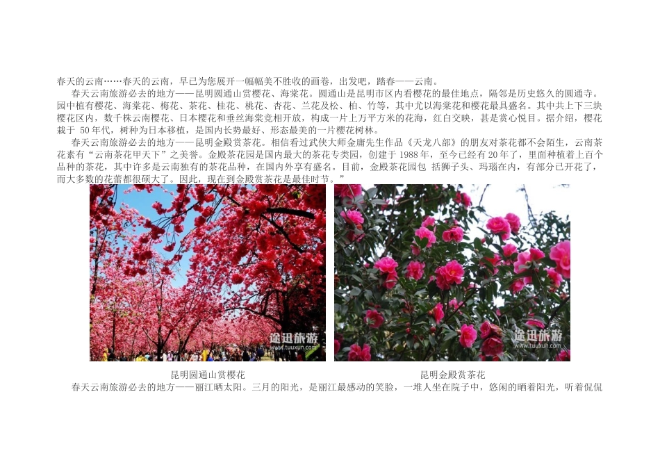 XXXX云南旅游攻略大全_第2页
