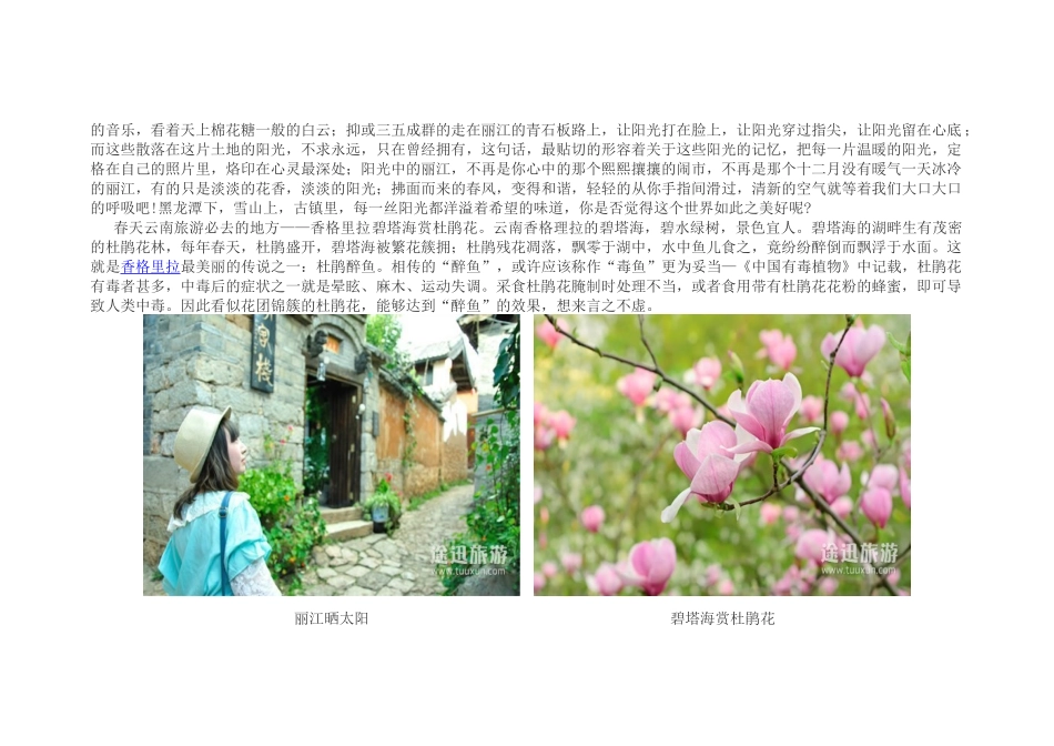 XXXX云南旅游攻略大全_第3页