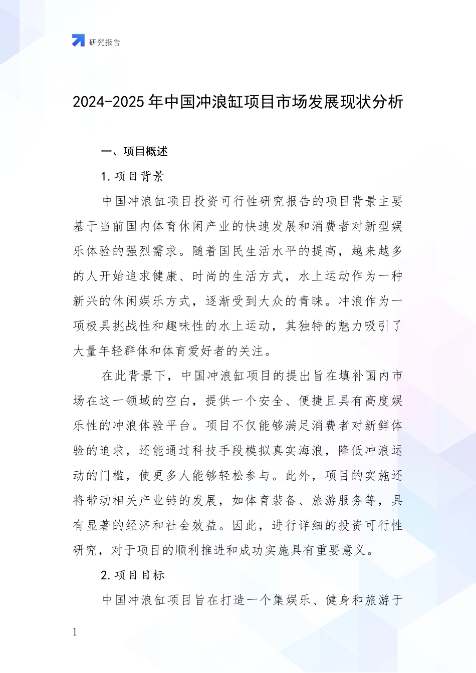 2024-2025年中国冲浪缸项目市场发展现状分析_第1页