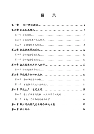 某印染有限公司能源审计报告