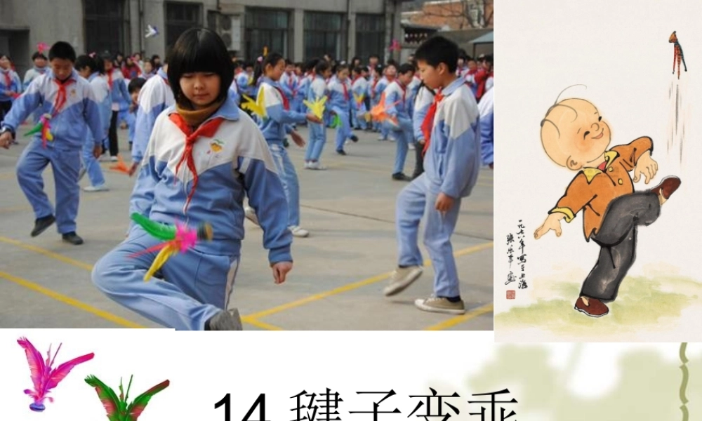 毽子变乖了公开课
